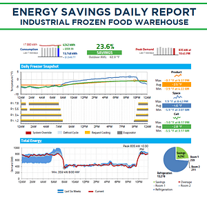 Real-Time Energy Consumption Reporting Lowers Utility Bills