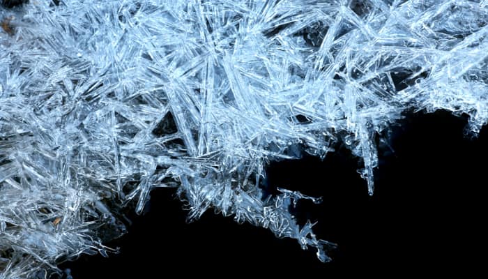Frozen Food Quality in the Cold Chain